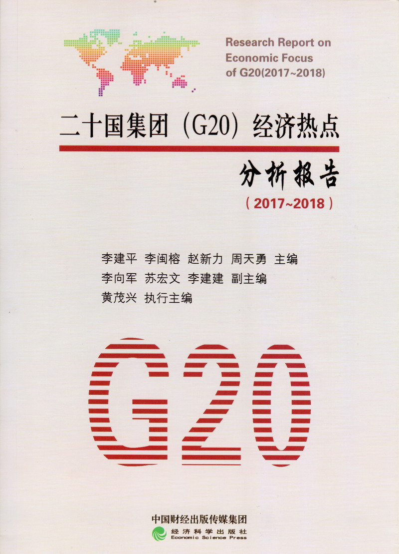 哦哦啊啊舒服死了二十国集团（G20）经济热点分析报告（2017-2018）