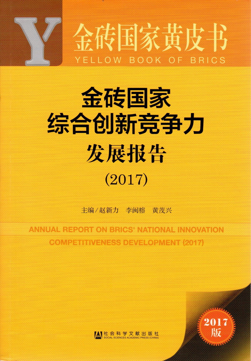 大鸡巴操女人逼逼金砖国家综合创新竞争力发展报告（2017）